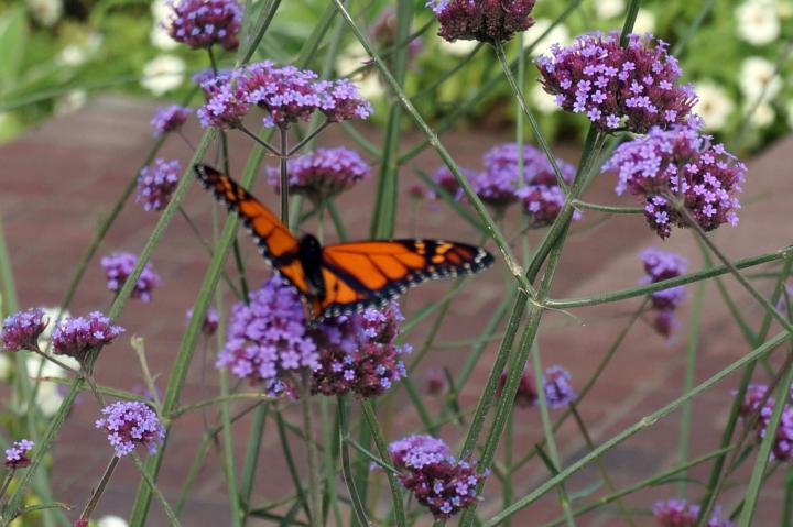 MackinawTrip9-27-15_13.jpg