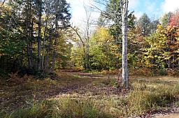 Camp10-11-14_03.jpg