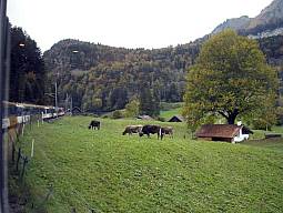 160-ToBrienz_08.jpg