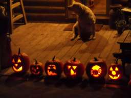 75-Pumpkins_23.jpg