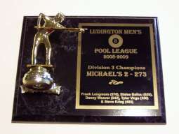 PoolLeague2008-9.jpg