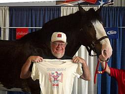 Clydesdales8-12-12_03.jpg