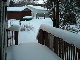 Snow_1-26-13.jpg