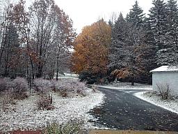 Snow_11-11-13.jpg