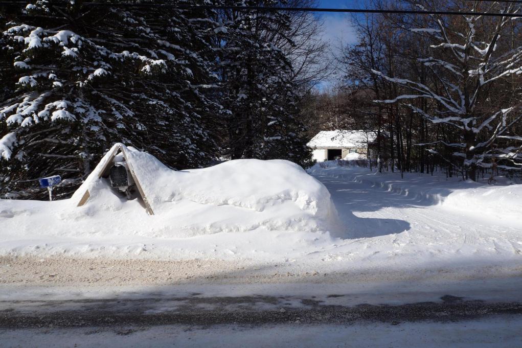 Snow1-29-14_04.jpg