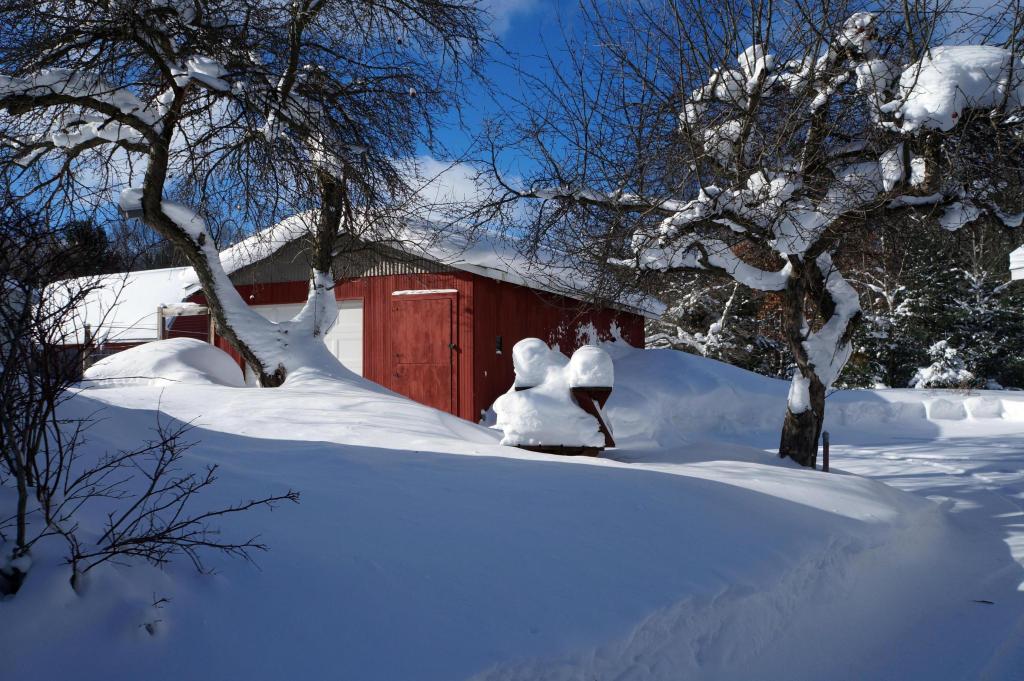 Snow1-29-14_08.jpg