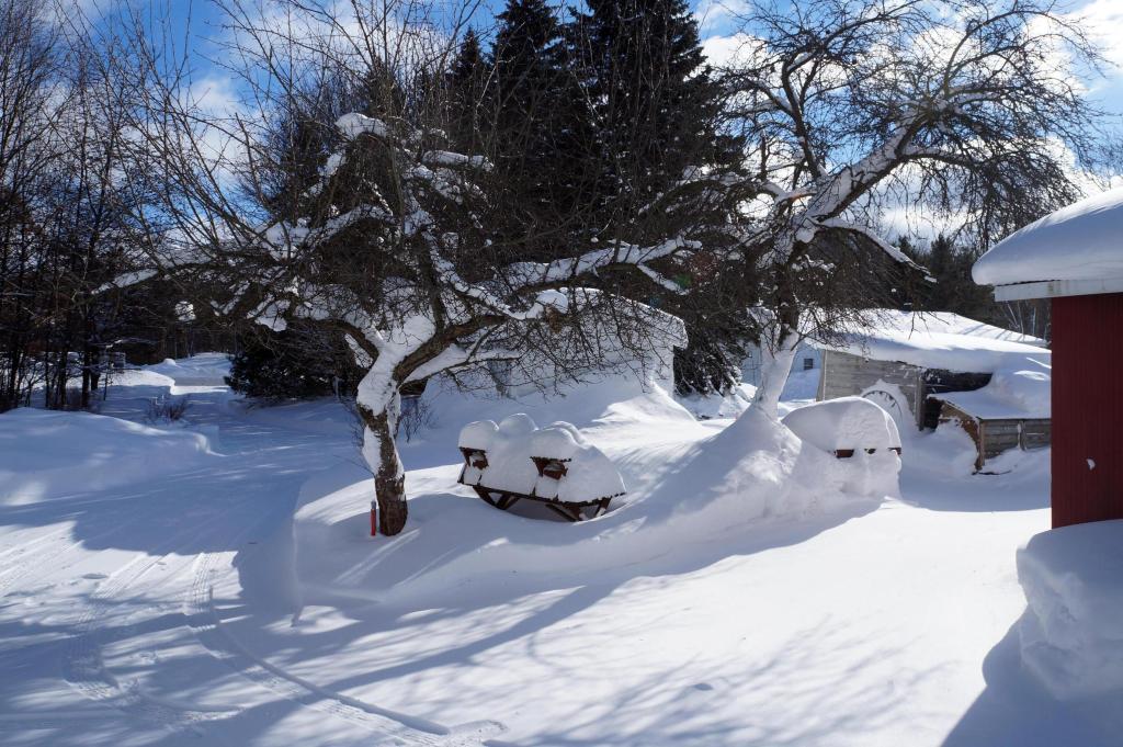 Snow1-29-14_09.jpg