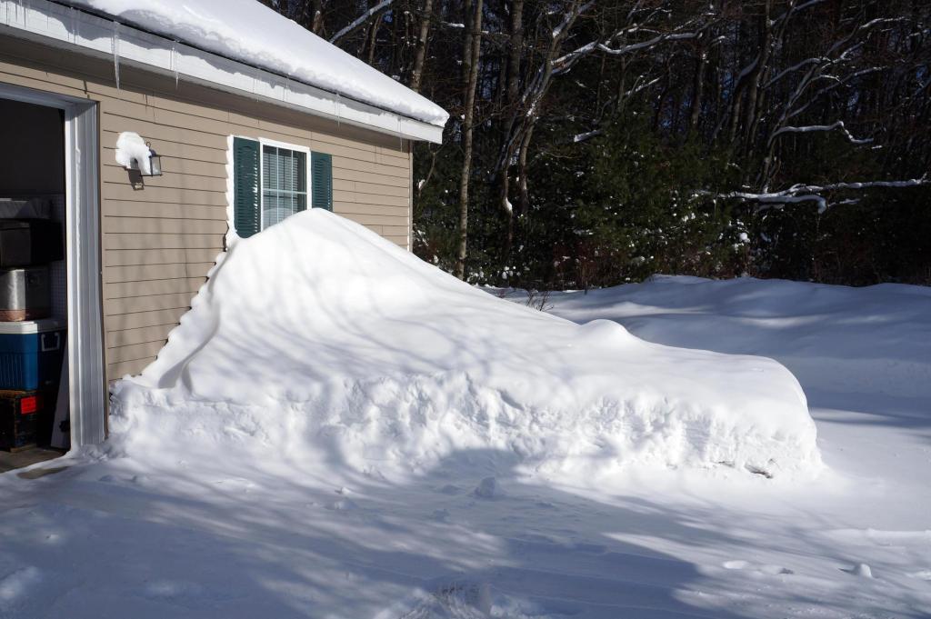 Snow1-29-14_13.jpg