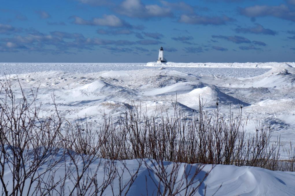 Snow1-29-14_15.jpg