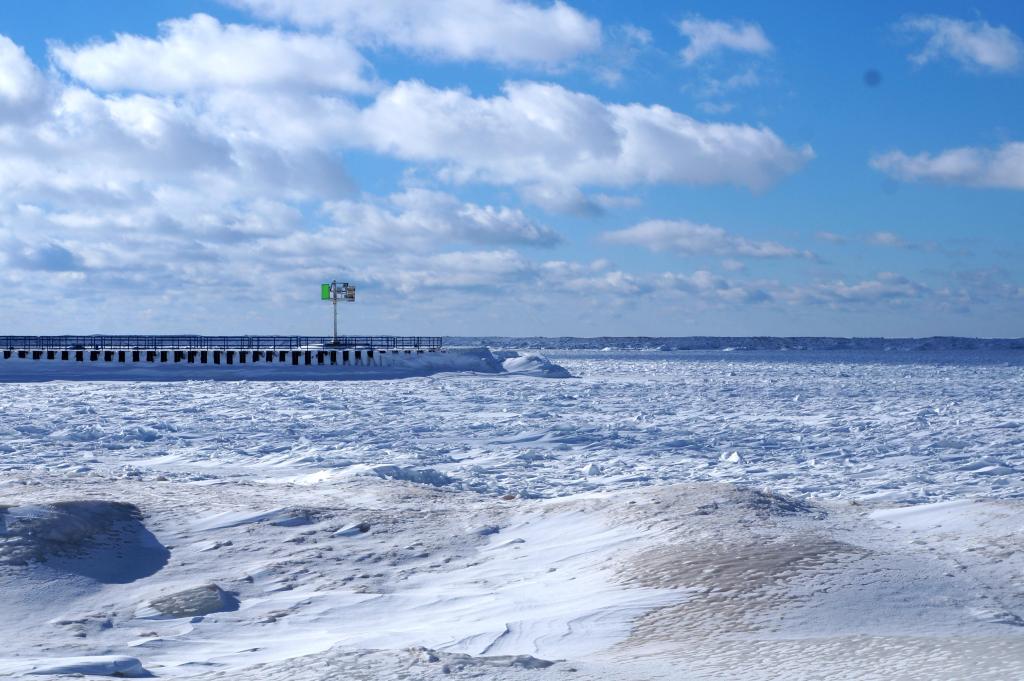 Snow1-29-14_18.jpg