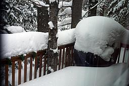 Snow1-29-14_02.jpg