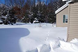 Snow1-29-14_11.jpg