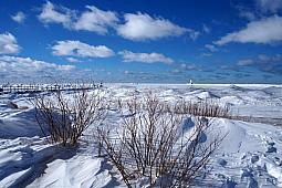 Snow1-29-14_14.jpg