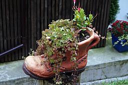 020-Rotschuo_08.jpg 020-Rotschuo_08.jpg