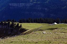 025-MtRigi_26.jpg 025-MtRigi_26.jpg