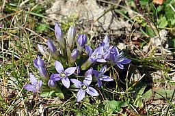 025-MtRigi_29.jpg 025-MtRigi_29.jpg