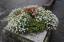 040-Glarus_02.jpg 040-Glarus_02.jpg