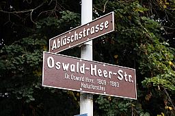 040-Glarus_13.jpg 040-Glarus_13.jpg