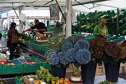055-Lucern_04.jpg 055-Lucern_04.jpg