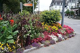 080-Interlaken_01.jpg 080-Interlaken_01.jpg