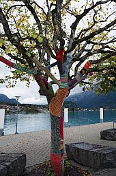085-Boat2Brienz_06.jpg 085-Boat2Brienz_06.jpg