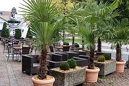 090-EngelBergVisit_02.jpg 090-EngelBergVisit_02.jpg