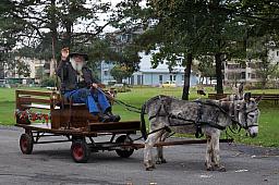 120-Boat2Brienz_03.jpg