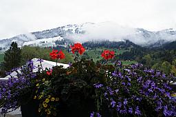 125-Lenk_12.jpg 125-Lenk_12.jpg