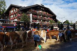 125-Lenk_22.jpg 125-Lenk_22.jpg