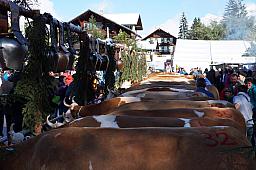 125-Lenk_24.jpg 125-Lenk_24.jpg