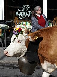 125-Lenk_64.jpg 125-Lenk_64.jpg