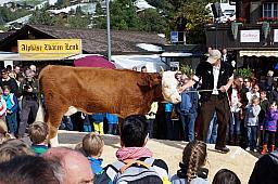 125-Lenk_71.jpg 125-Lenk_71.jpg