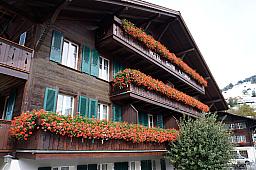 125-Lenk_73.jpg 125-Lenk_73.jpg