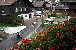 125-Lenk_74.jpg 125-Lenk_74.jpg