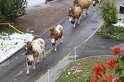 125-Lenk_75.jpg 125-Lenk_75.jpg