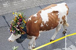 125-Lenk_77.jpg 125-Lenk_77.jpg