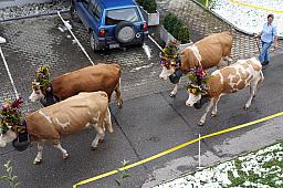 125-Lenk_79.jpg 125-Lenk_79.jpg