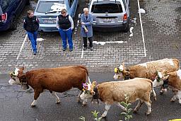 125-Lenk_81.jpg 125-Lenk_81.jpg