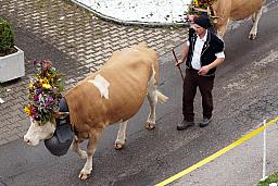 125-Lenk_84.jpg 125-Lenk_84.jpg