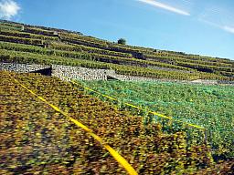 195-TrainToLeissigen_01.jpg 195-TrainToLeissigen_01.jpg
