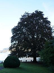 200-Leissigen_04.jpg 200-Leissigen_04.jpg