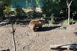 220-Bern_07.jpg 220-Bern_07.jpg