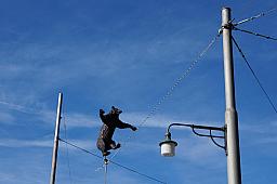 220-Bern_10.jpg 220-Bern_10.jpg