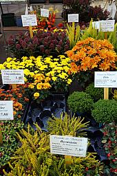 220-Bern_15.jpg 220-Bern_15.jpg