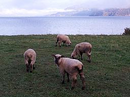250-Leissigen2Brienz_01.jpg 250-Leissigen2Brienz_01.jpg