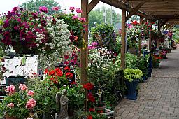 053_BrendasBlumenladen.jpg 053_BrendasBlumenladen.jpg
