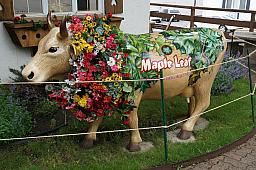 069_NewGlarus13.jpg 069_NewGlarus13.jpg