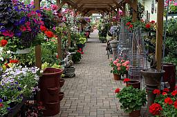 120_BrendasBlumenladen.jpg 120_BrendasBlumenladen.jpg