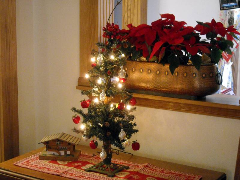 XmasTrees2012_23.jpg