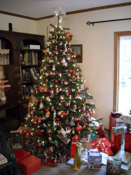 XmasTrees2012_29.jpg